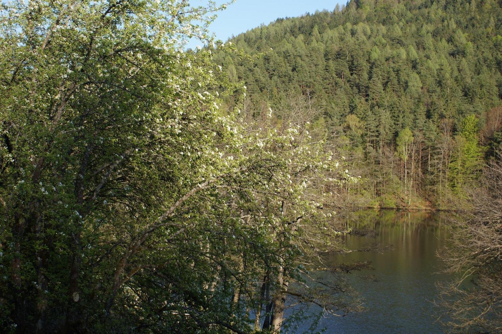 Landgasthof Trattnig 3*