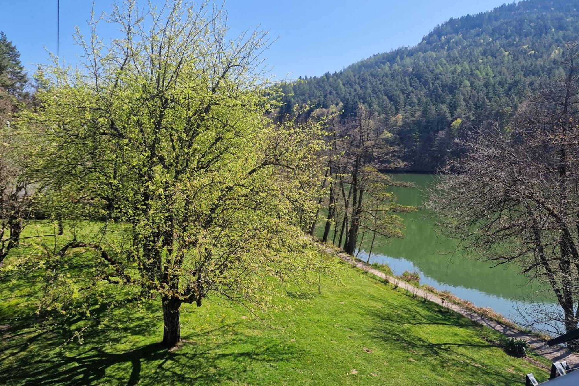 Landgasthof Trattnig