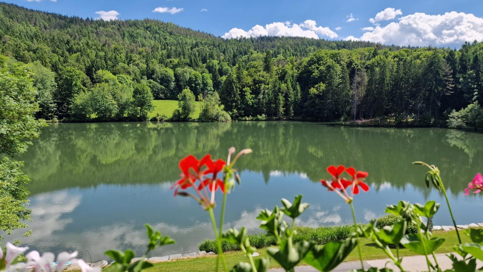 Landgasthof Trattnig 3* Schiefling am See